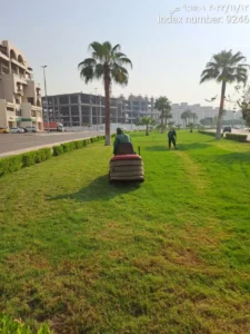 تركيب عشب طبيعي بجدة