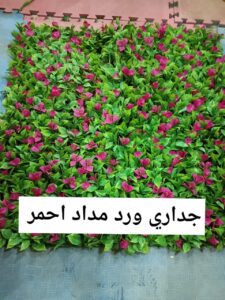 عشب جداري ورد مداد احمر